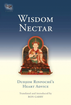 Dudjom Rinpoche's Heart Advice : Wisdom Nectar - HC Used