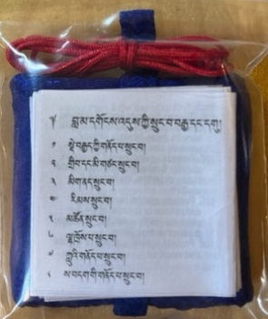 Schutzamulett 109 Schutz von Lama Gongdu