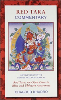 Red Tara Commentary: Instructions for the Concise Practice Known as Red Tara: An Open Door to Bliss and Ultimate Awareness - Used