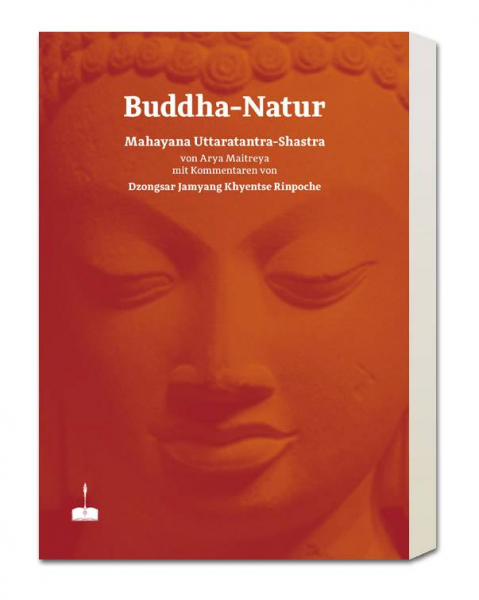 Arya Maitreya / Dzongsar Jamyang Khyentse Rinpoche : Buddha Natur