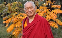 Lama Zopa