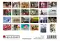 Preview: Das Leben ist schön! 24 Postkarten Set