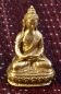 Preview: Die 5 Buddha Familien Statuen