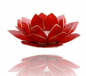 Preview: Lotus Licht mit Goldrand