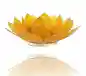 Preview: Lotus candlelightholder chakra goldlining