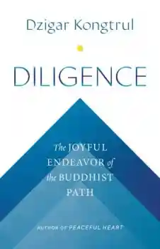 Dzigar Kongtrul : Diligence - The Joyful Endeavor of the Buddhist Path
