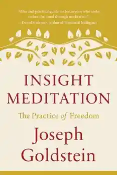 Joseph Goldstein : Insight Meditation The Practice of Freedom