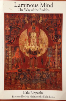Kyabje Kalu Rinpoche  : Luminous Mind: The Way of the Buddha