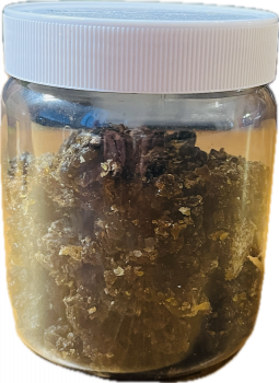 GUGGUL - Reine Harze - Großpackung 200g