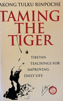 Akong Tulku Rinpoche (Autor) : Taming The Tiger: Tibetan Teachings For Improving Daily Life