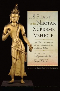 A Feast of the Nectar of the Supreme Vehicle