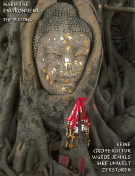 Bodhi Baum in Burma (IQN9)