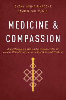 DAVID R. SHLIM CHÖKYI NYIMA RINPOCHE ; MEDICINE AND COMPASSION