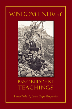 LAMA THUBTEN, YESHE LAMA ZOPA RINPOCHE, JONATHAN LANDAW : WISDOM ENERGY Basic Buddhist Teachings