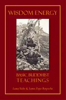 LAMA THUBTEN, YESHE LAMA ZOPA RINPOCHE, JONATHAN LANDAW : WISDOM ENERGY Basic Buddhist Teachings