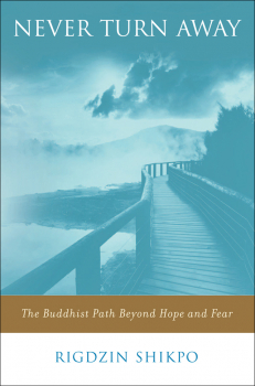 RIGDZIN SHIKPO, FRANCESCA FREMANTLE : NEVER TURN AWAY The Buddhist Path Beyond Hope and Fear