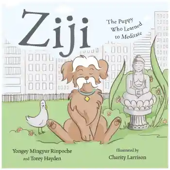 YONGEY MINGYUR RINPOCHE, TOREY HAYDEN : ZIJI The Puppy Who Learned to Meditate