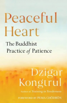 Dzigar Kongtrul Contributions : Peaceful Heart The Buddhist Practice of Patience