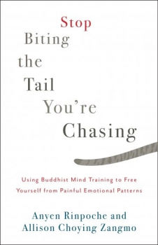Anyen Rinpoche : Stop Biting the Tail You’re Chasing