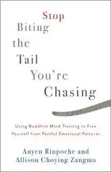 Anyen Rinpoche : Stop Biting the Tail You’re Chasing