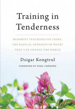 Dzigar Kongtrul  : Training in Tenderness
