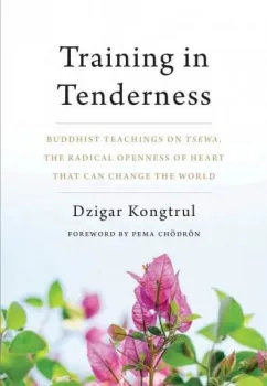 Dzigar Kongtrul : Training in Tenderness