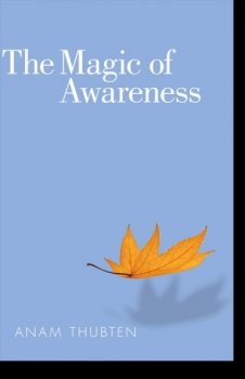 Anam Thubten, Sharon Roe : The Magic of Awareness