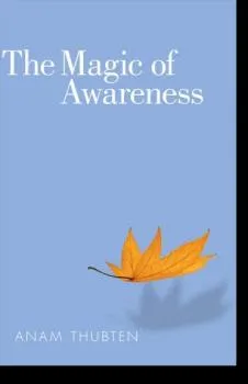 Anam Thubten, Sharon Roe : The Magic of Awareness