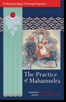 Drikung Kyabgon Chetsang Rinpoche  : The Practice of Mahamudra