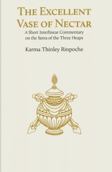 Karma Thinley Rinpoche : The Excellent Vase of Nectar
