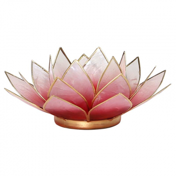 Lotus Licht mit Goldrand