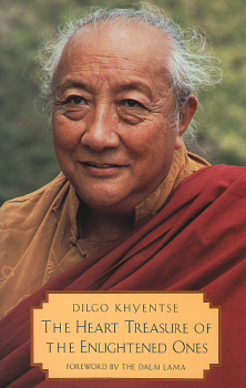 Dilgo Khyentse Rinpoche and Patrul Rinpoche: The Heart Treasure of the Enlightened Ones (Used)