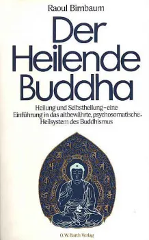 Raoul Birnbaum : Der heilende Buddha (TB) (Gebraucht)