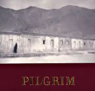 Richard Gere : Pilgrim