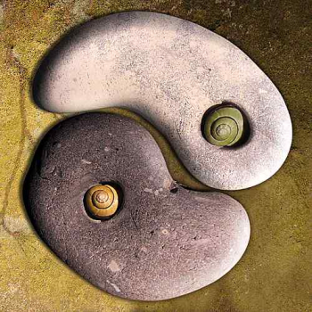 Yin und Yang (IQ170)