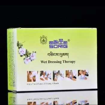 SORIG Wet Dressing Therapy