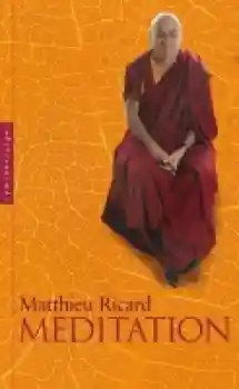 Ricard, Matthieu : Meditation (GEB)