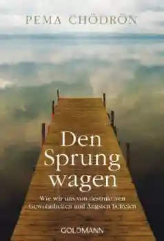 Chödrön, Pema : Den Sprung wagen (TB)