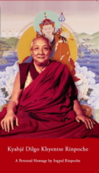 Kyabje Dilgo Khyentse Rinpoche : Eine persönliche Hommage von Sogyal Rinpoche