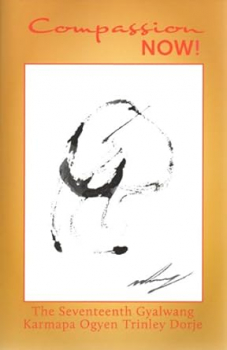 Ogyen Trinley Dorje : Compassion NOW!