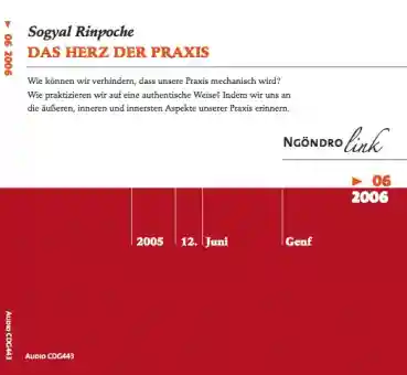 Sogyal Rinpoche : Das Herz der Praxis (Audio-CD)