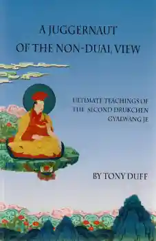 Tony Duff : Juggernaut of the Non-Dual View