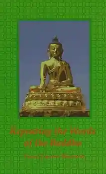 Tulku Urgyen Rinpoche : Repeating the Words of the Buddha (Used)