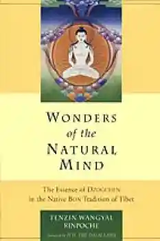 Tenzin Wangyal : Wonders of the Natural Mind