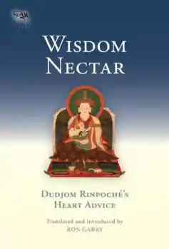 Dudjom Rinpoche's Heart Advice : Wisdom Nectar (Tsadra, Band 5)