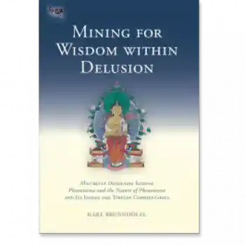 Karl Brunnholzl : Mining for Wisdom within Delusion (Tsadra, Band 10)