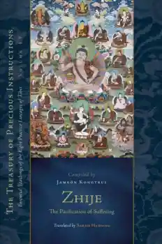 Jamgon Kongtrul Lodro Taye : Zhije: The Pacification of Suffering (Volume 13)