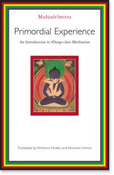 Chogyal Namkhai Norbu : Primordial Experience (Used)