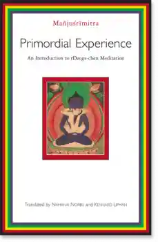 Chogyal Namkhai Norbu : Primordial Experience (Used)