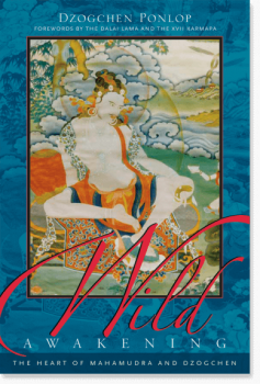  Dzogchen Ponlop : Wild Awakening